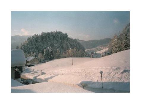 Sport-Alpin-Wohnung-9 Oberstdorf Buitenkant foto